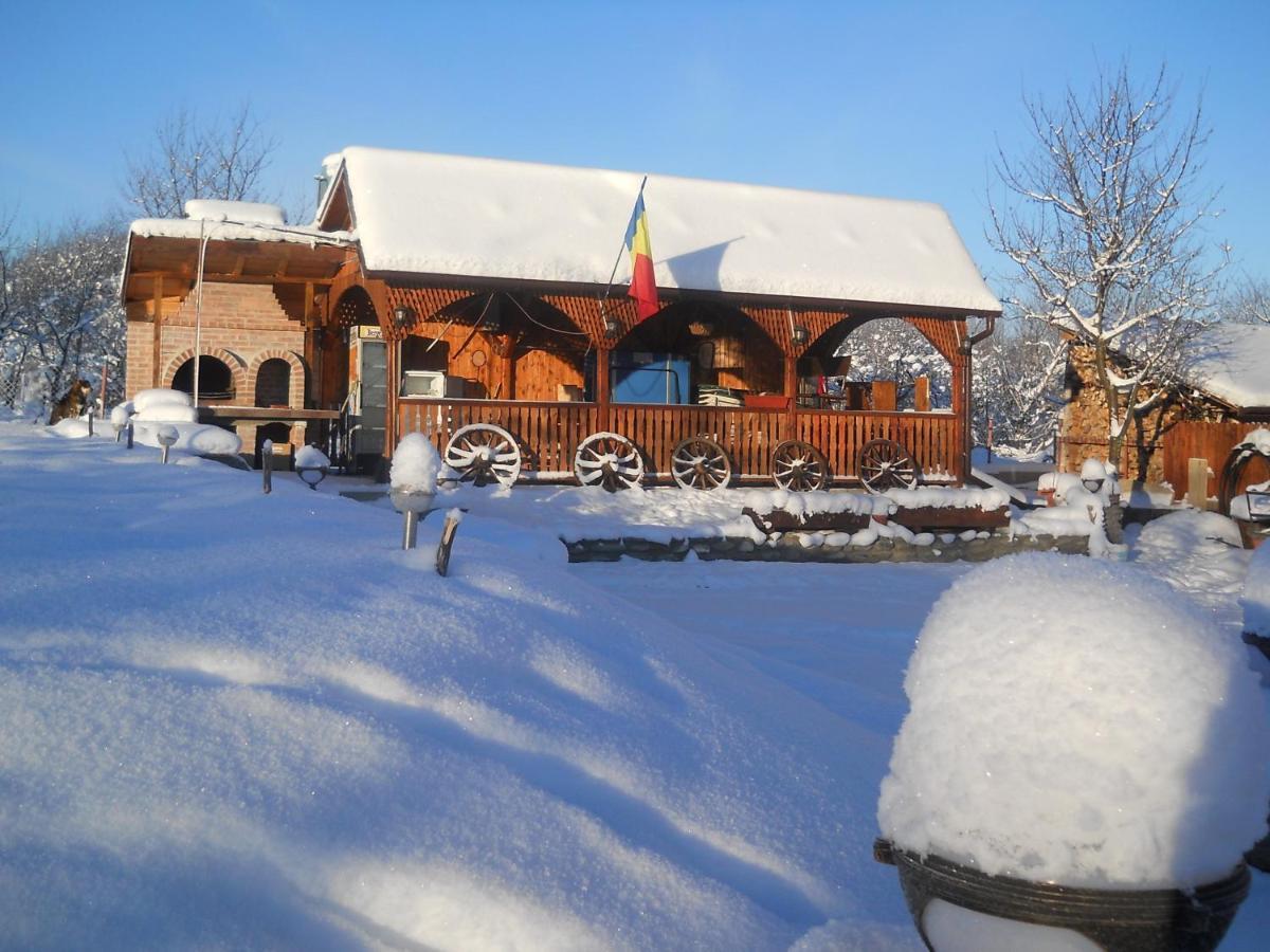 Pensiunea Roua Muntilor Sîmbăta de Sus Exterior foto