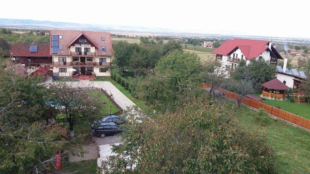 Pensiunea Roua Muntilor Sîmbăta de Sus Exterior foto